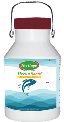 Herita Bacte