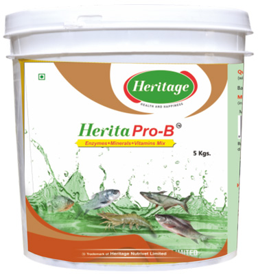 Herita Pro - B